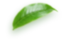 h3-layer2