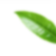 h6-slider-layer3